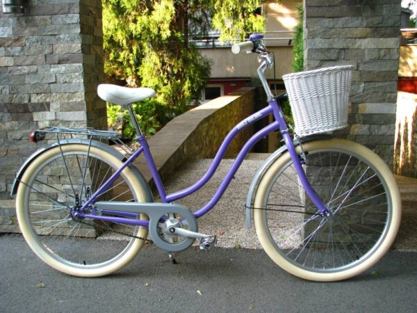 ljubicasto-sivi-cruiser-bicikla