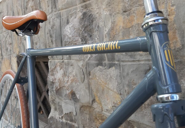 sivo-braon-fixie