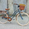 braon-sivi cruiser