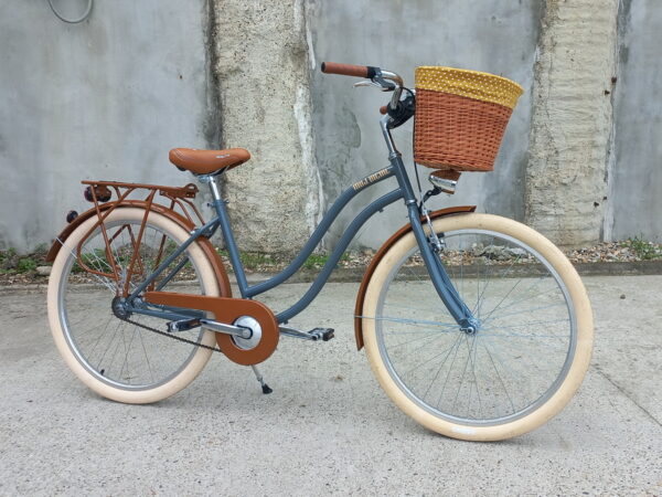 braon-sivi cruiser