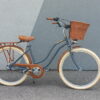 sivo-braon-zenski-cruiser-bicikl