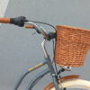 sivo-braon-zenski-cruiser-bicikl