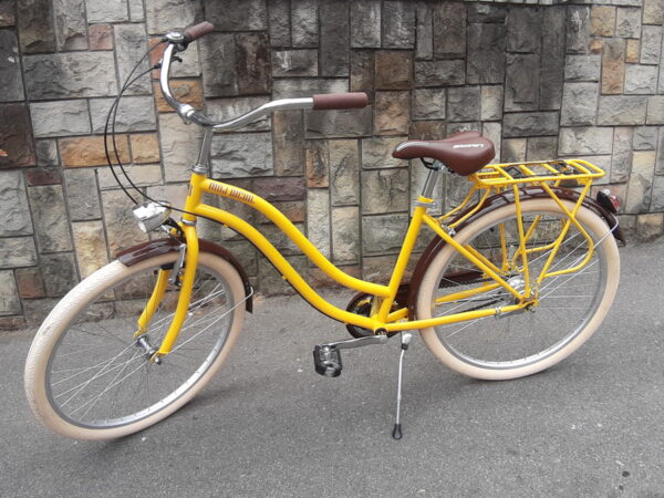 zuto-braon-cruiser